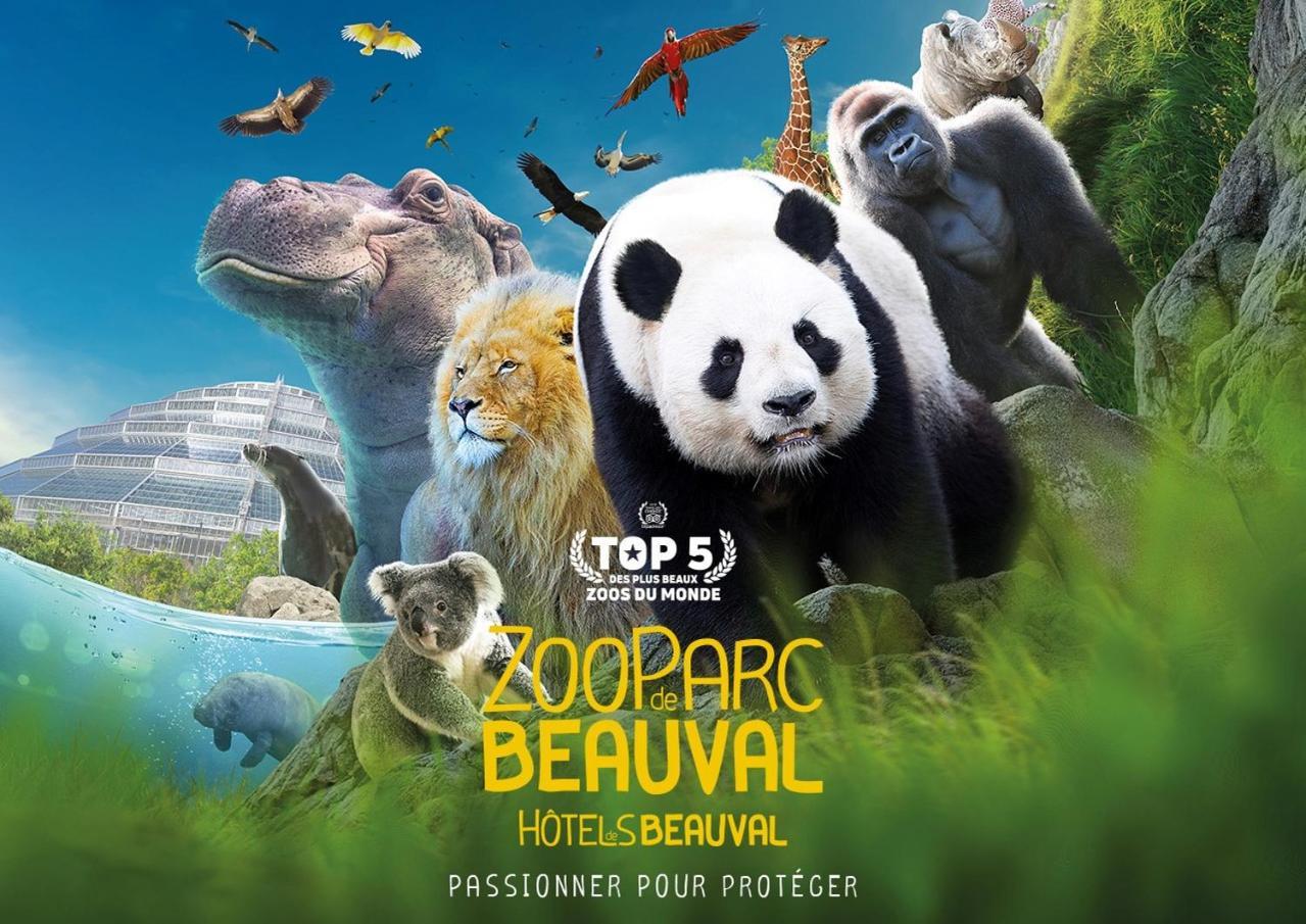Studio Paon D'Or, 5 Minutes Du Zooparc De Beauval Saint-Aignan  Zewnętrze zdjęcie